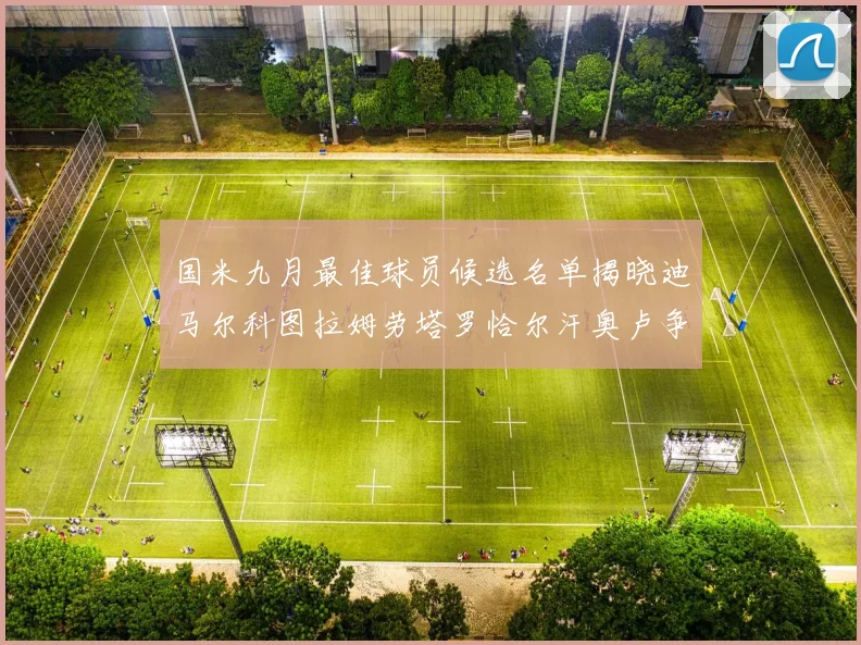 国米九月最佳球员候选名单揭晓迪马尔科图拉姆劳塔罗恰尔汗奥卢争夺荣誉