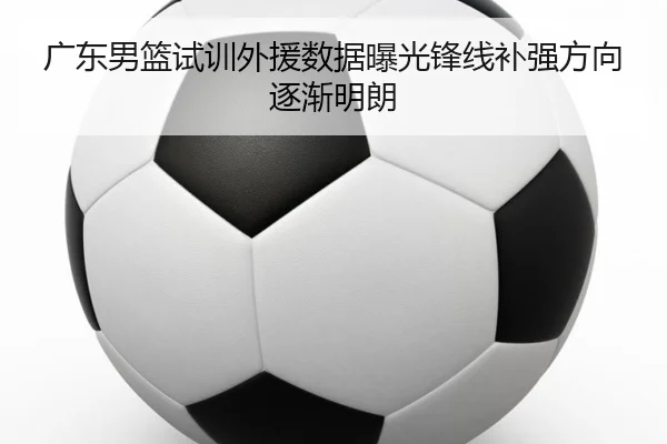 广东男篮试训外援数据曝光锋线补强方向逐渐明朗 - MILANSPORT